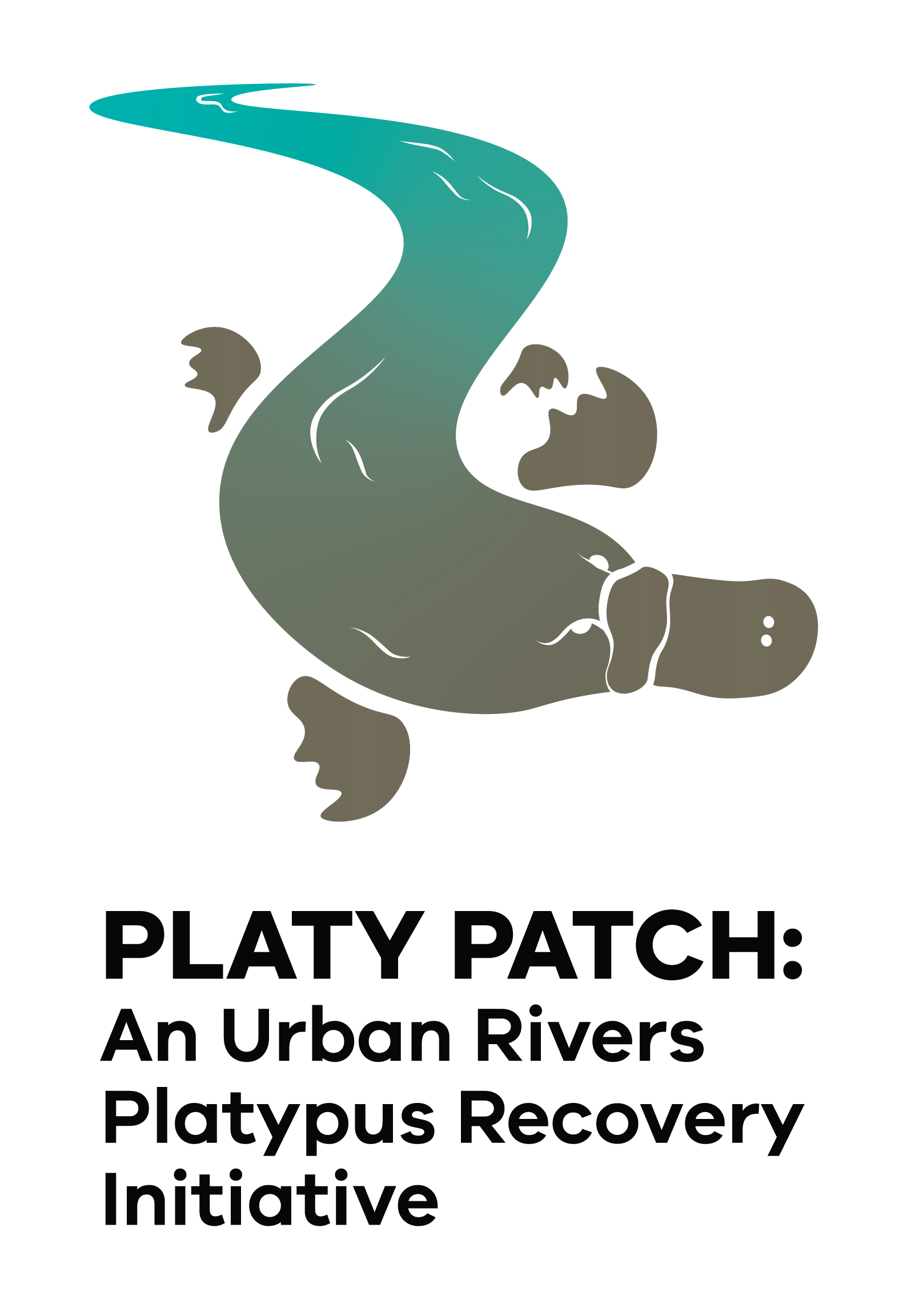 Platy Patch Logo